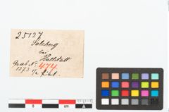 Etikett zu Bronzebrillenfibel (NHMW-PRAE-025127)